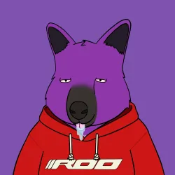 Roo #3731
