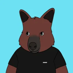 Roo #4642