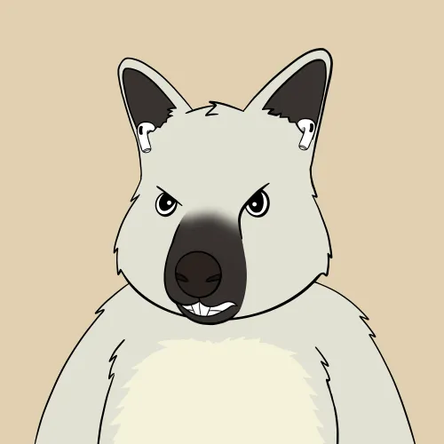 Roo #3655