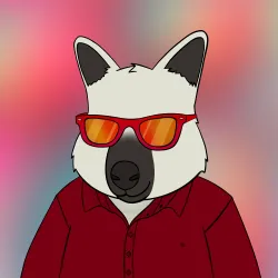 Roo #2362