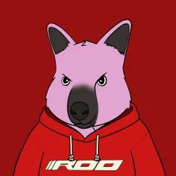 Roo #5001