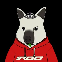 Roo #3896