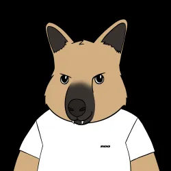 Roo #4035