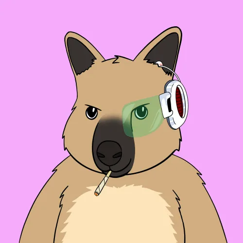 Roo #3908