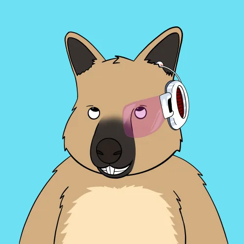 Roo #5070