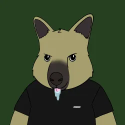 Roo #711