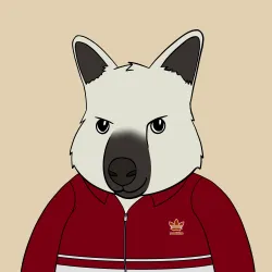 Roo #4071