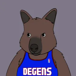 Roo #8
