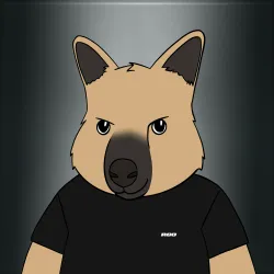Roo #429