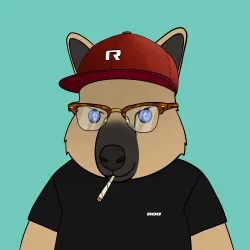 Roo #475