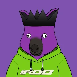 Roo #4547