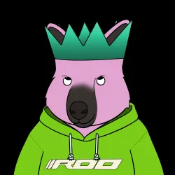 Roo #4142