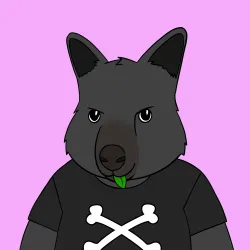 Roo #4484
