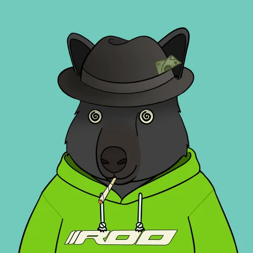 Roo #681