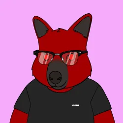Roo #3042