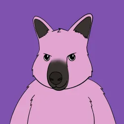 Roo #797