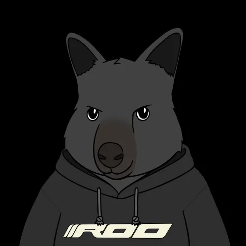 Roo #5378
