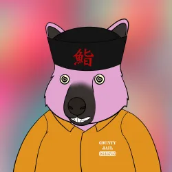 Roo #3767