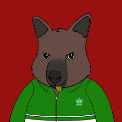 Roo #2212