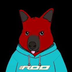 Roo #2884