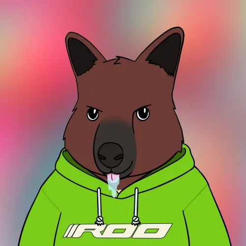 Roo #4298