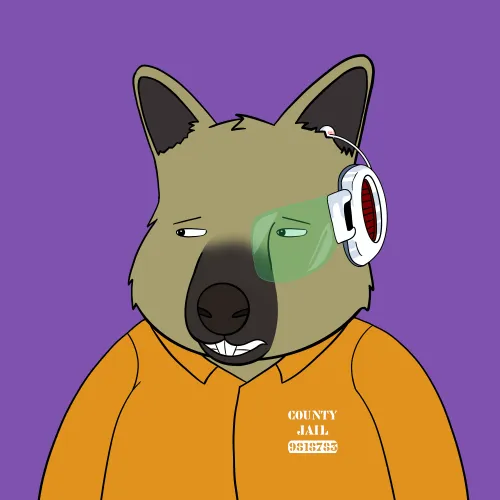 Roo #3131