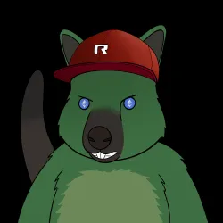 Roo #447