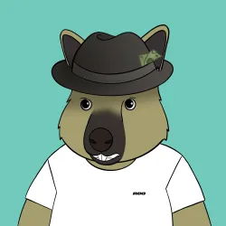 Roo #683