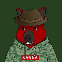 Roo #1384