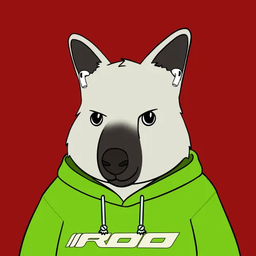 Roo #353