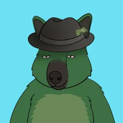 Roo #341