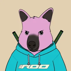 Roo #2137