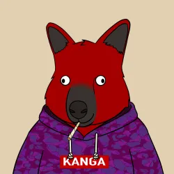 Roo #3413