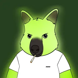 Roo #160