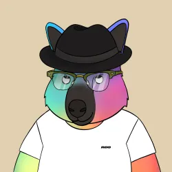Roo #4247