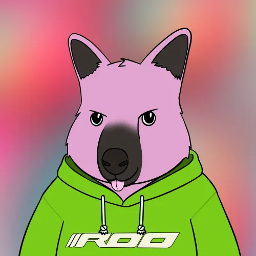 Roo #3970
