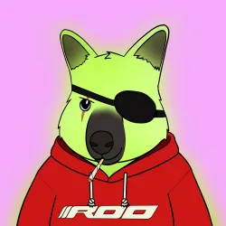 Roo #4729