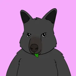 Roo #4584