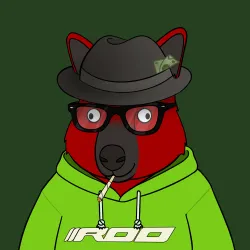 Roo #3537
