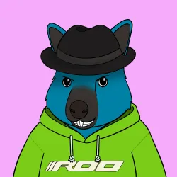 Roo #4329