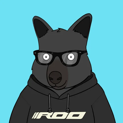 Roo #3196