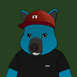Roo #5084
