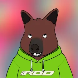Roo #468