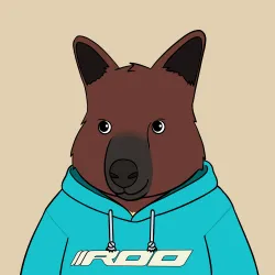 Roo #4961