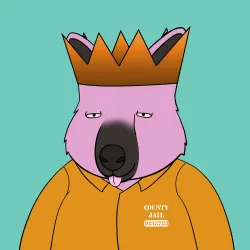 Roo #1113