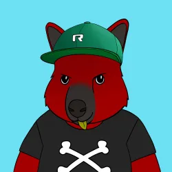 Roo #1801