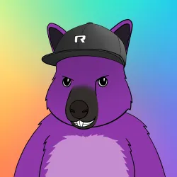 Roo #4084