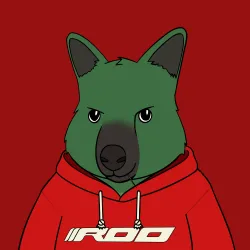Roo #3809