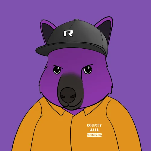 Roo #5104