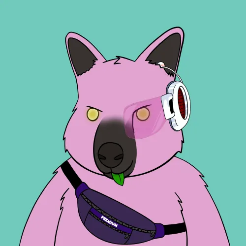 Roo #3533